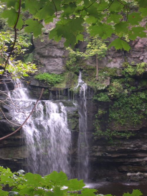 DSCN0116.JPG