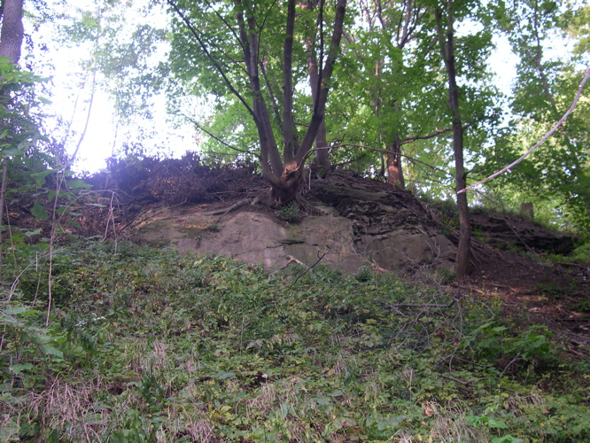 DSCN0117.JPG