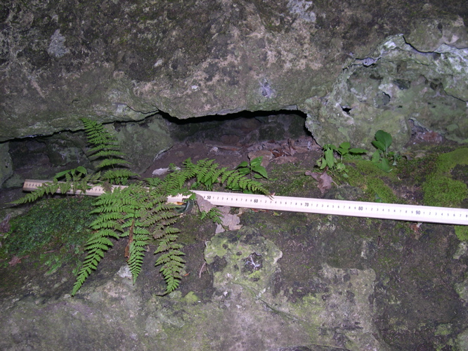 DSCN0119.JPG