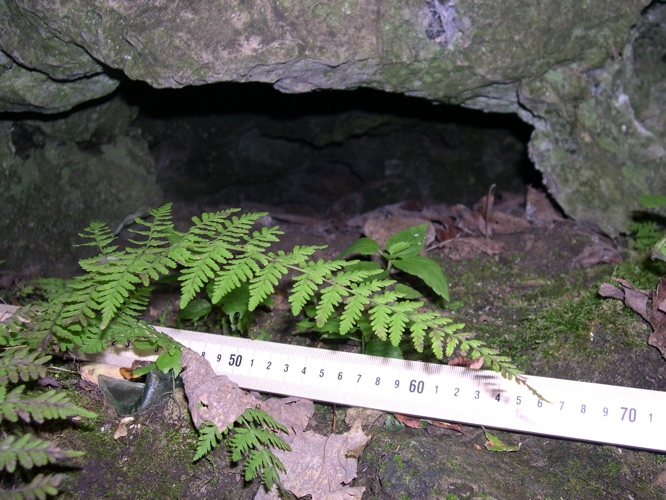 DSCN0120.JPG