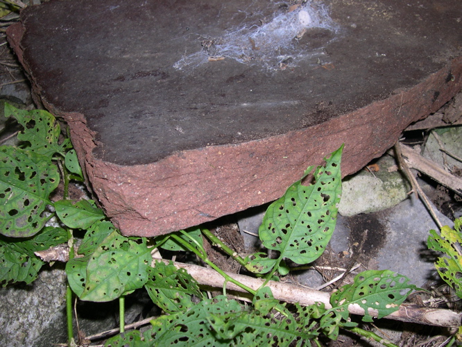 DSCN0121.JPG