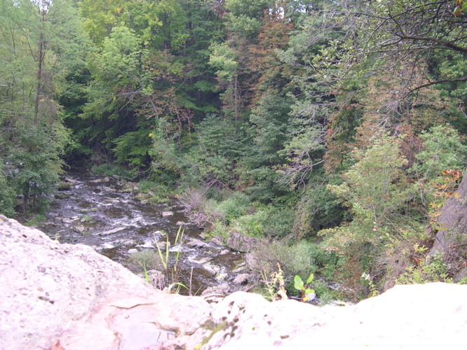 DSCN0125.JPG