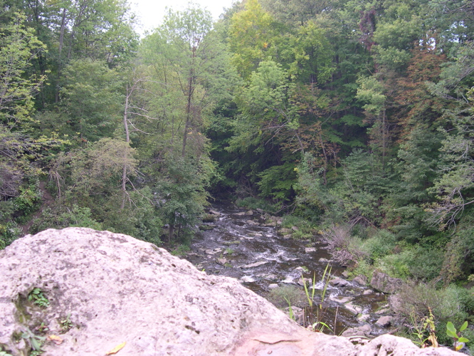 DSCN0126.JPG