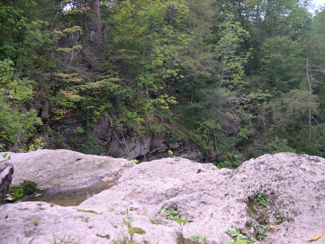 DSCN0128.JPG