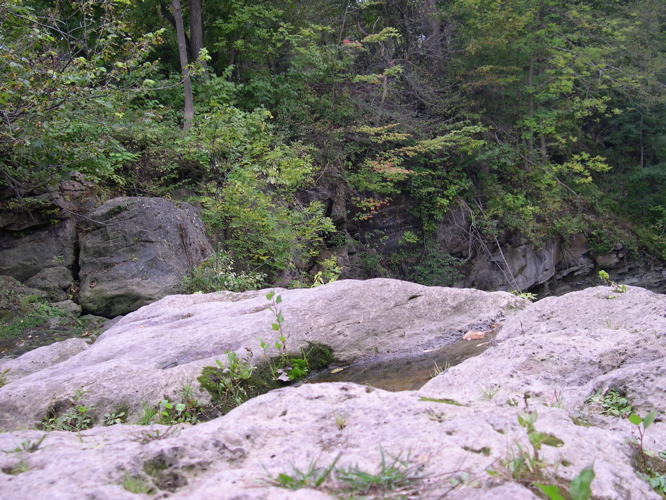 DSCN0129.JPG