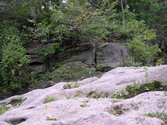 DSCN0130.JPG