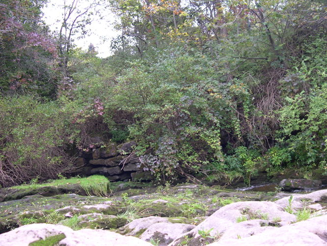 DSCN0132.JPG