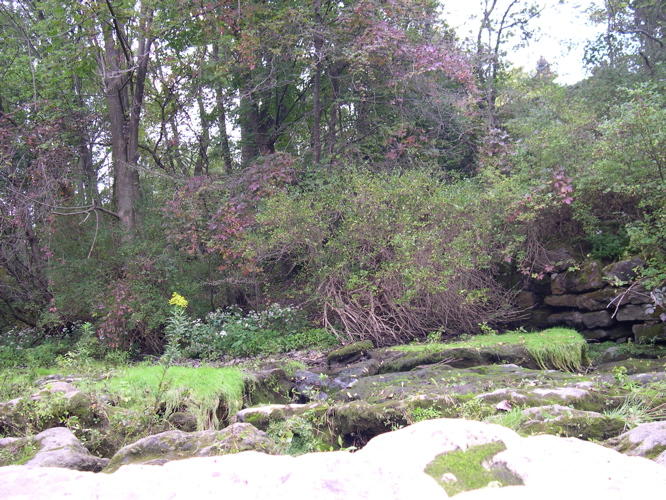 DSCN0133.JPG