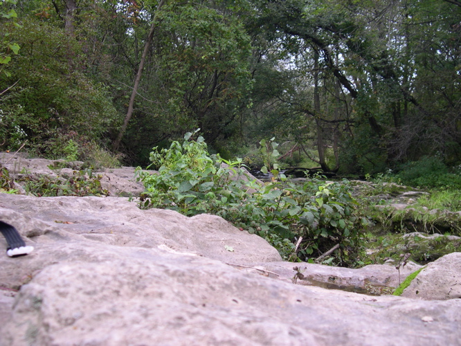 DSCN0136.JPG
