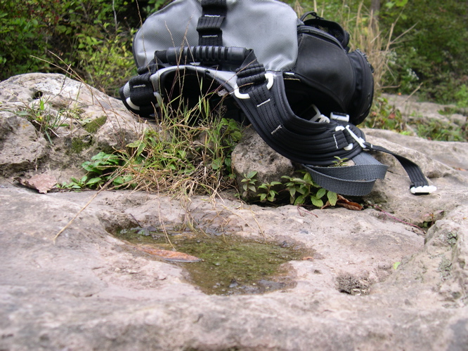DSCN0138.JPG