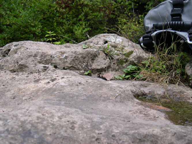 DSCN0139.JPG