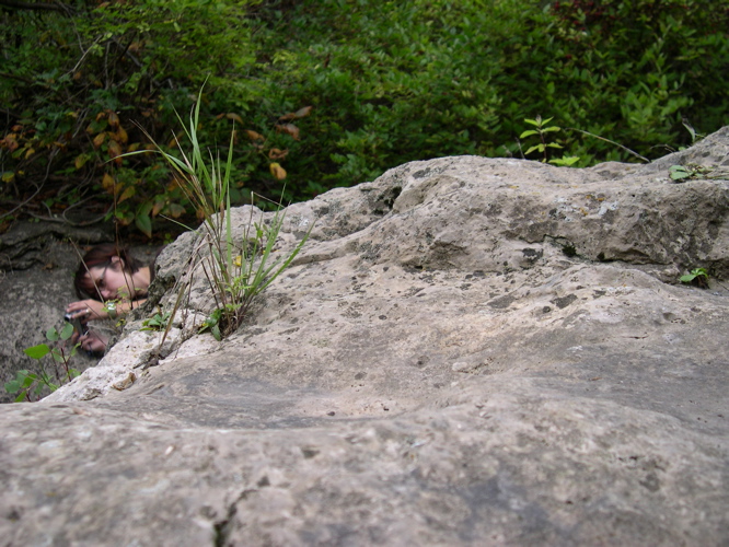 DSCN0140.JPG