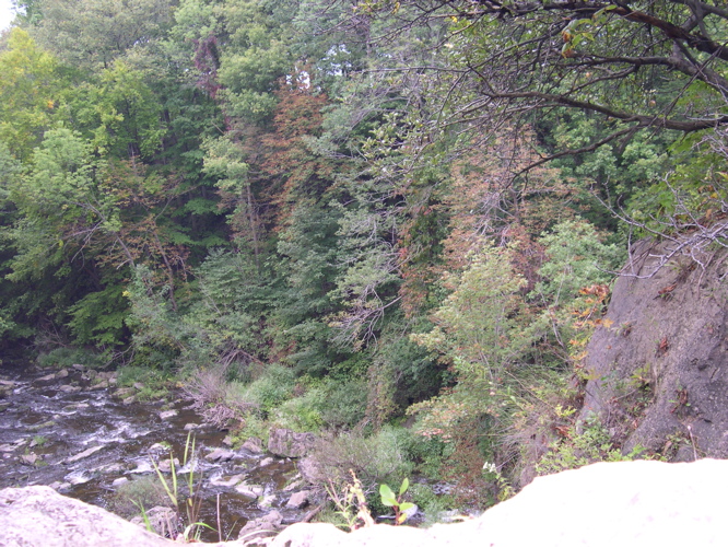 DSCN0143.JPG