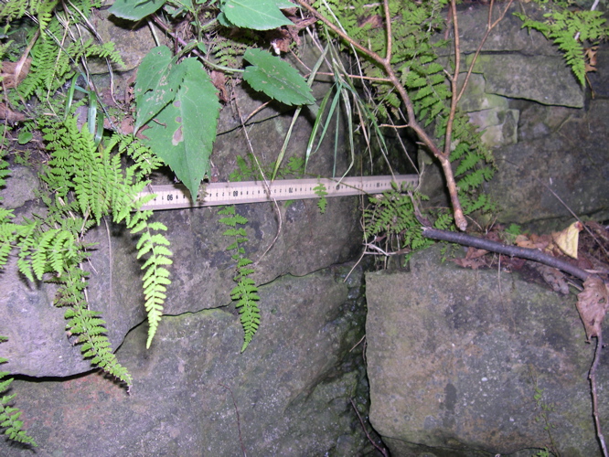 DSCN0144.JPG