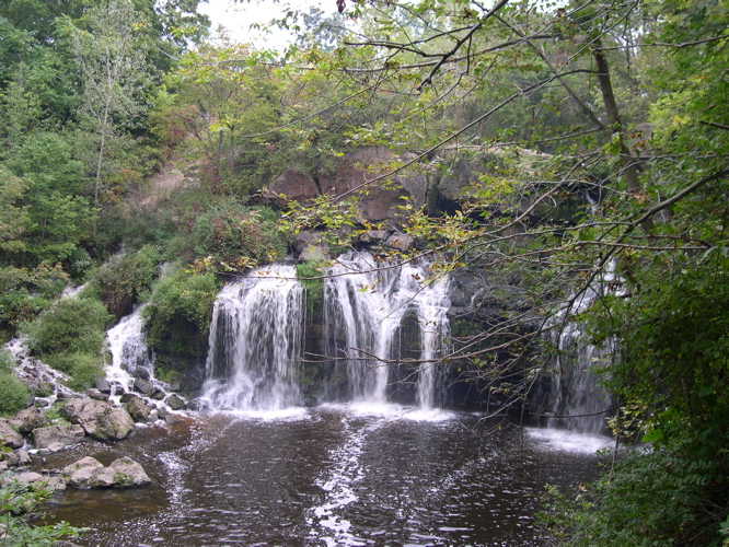 DSCN0145.JPG