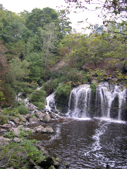 DSCN0147.JPG