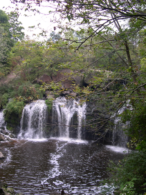 DSCN0148.JPG