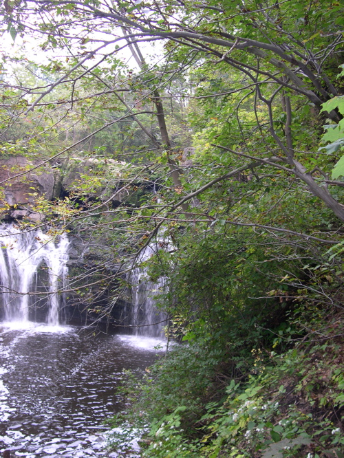 DSCN0149.JPG