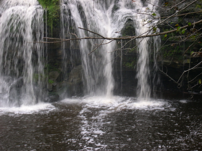 DSCN0151.JPG