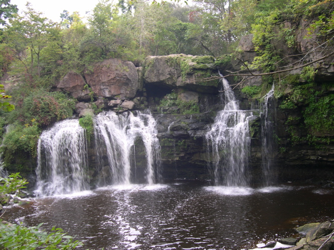 DSCN0153.JPG