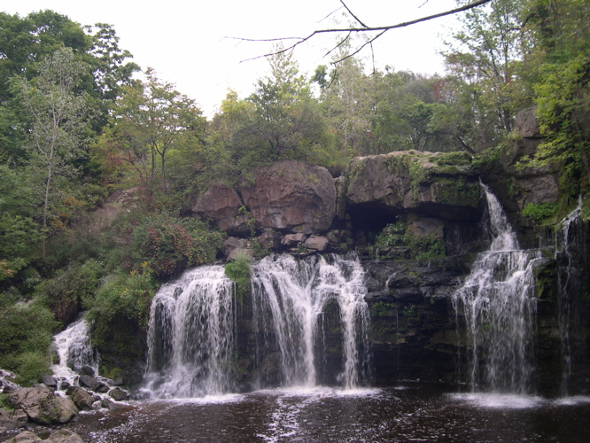 DSCN0156.JPG