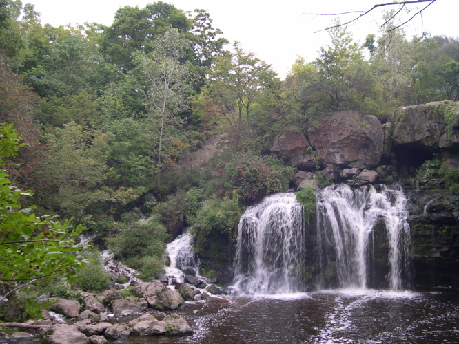 DSCN0157.JPG