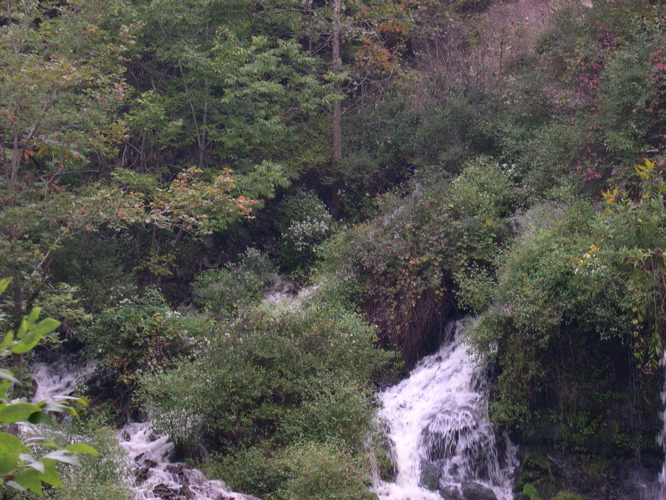DSCN0159.JPG
