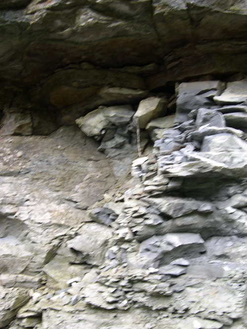 DSCN0162.JPG