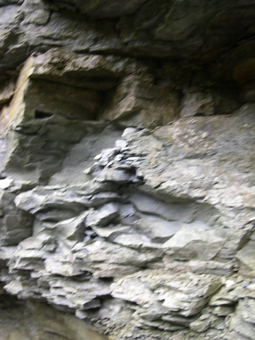 DSCN0163.JPG