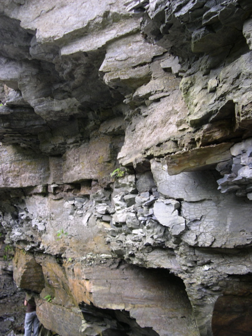 DSCN0165.JPG