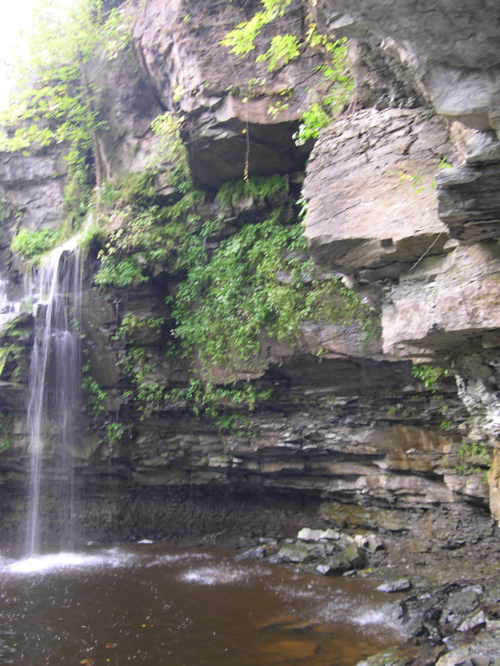 DSCN0167.JPG