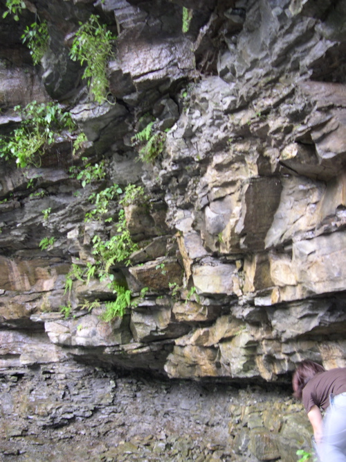 DSCN0175.JPG