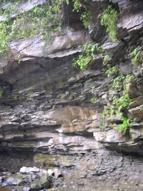 DSCN0176.JPG