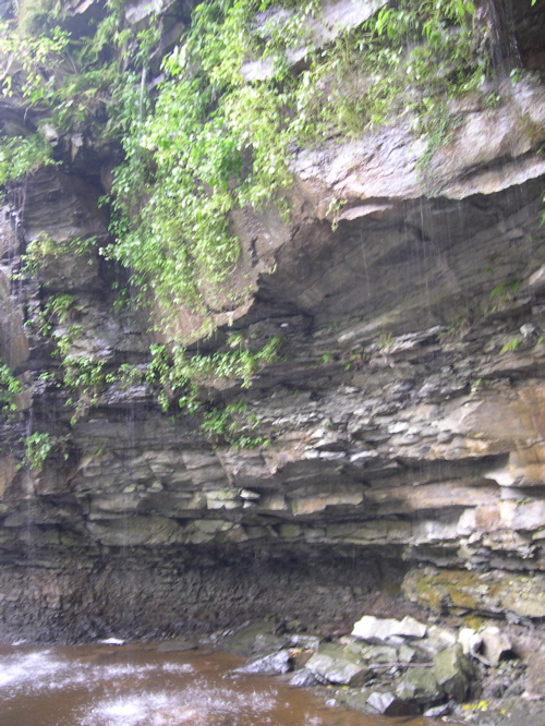 DSCN0177.JPG
