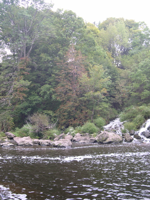 DSCN0185.JPG