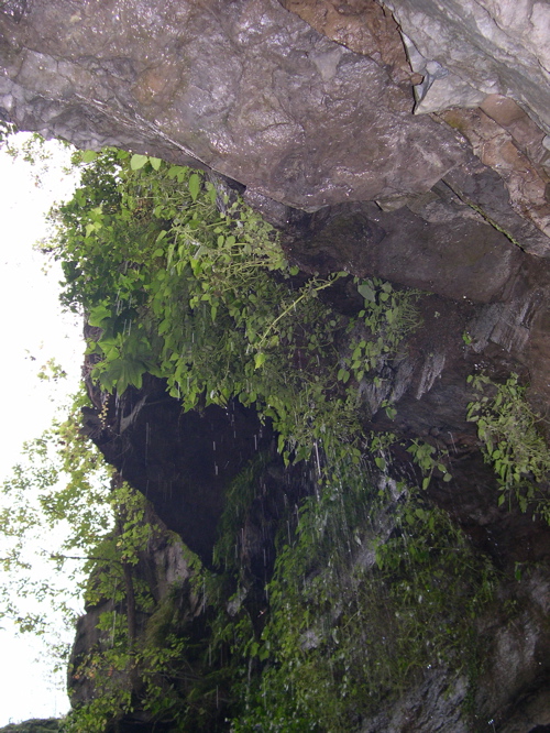 DSCN0197.JPG