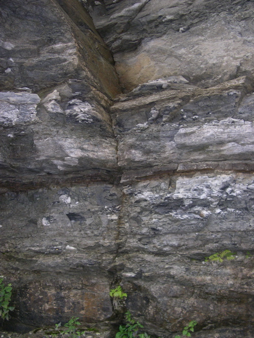 DSCN0331.JPG