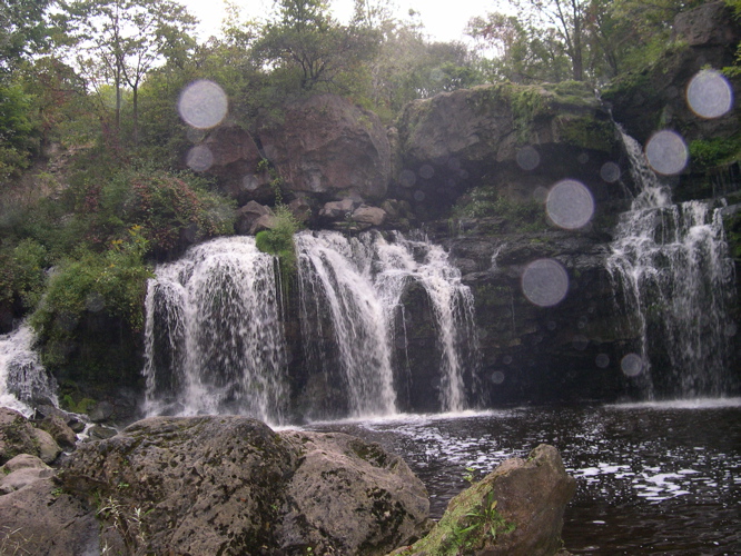DSCN0335.JPG