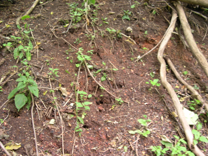 DSCN0072.JPG