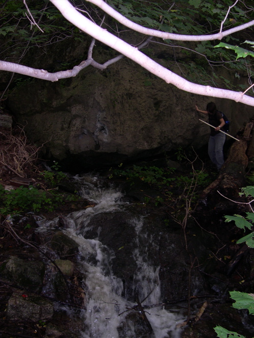 DSCN0081.JPG