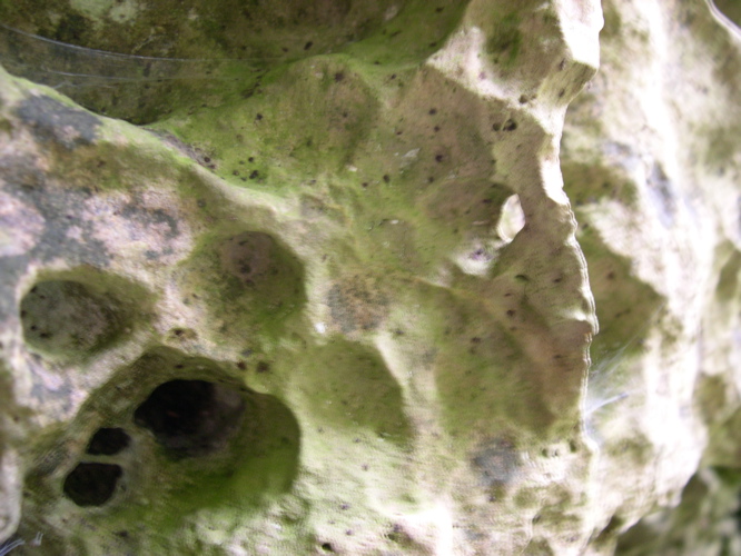 DSCN0087.JPG