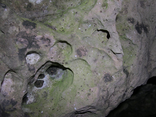 DSCN0088.JPG