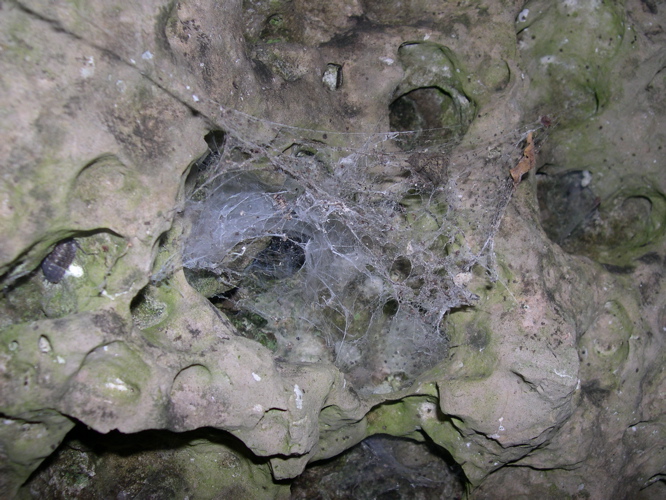 DSCN0090.JPG