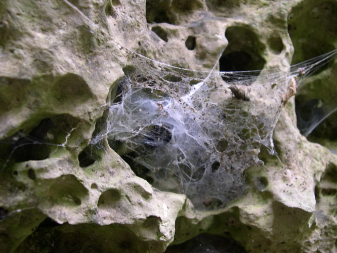 DSCN0091.JPG