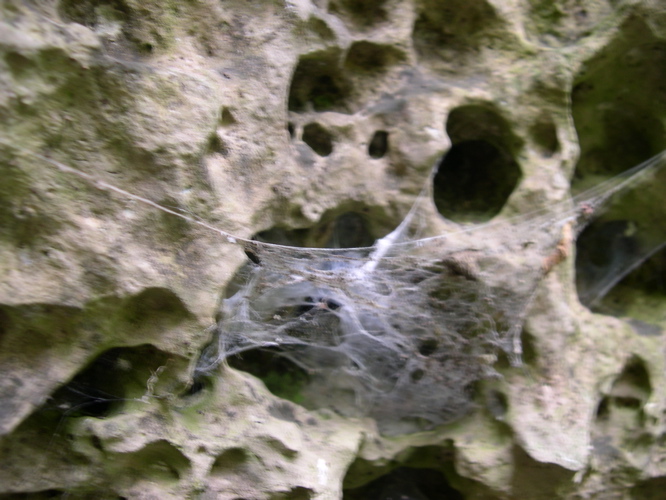 DSCN0092.JPG