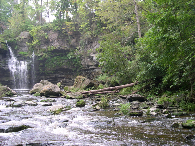 DSCN0099.JPG