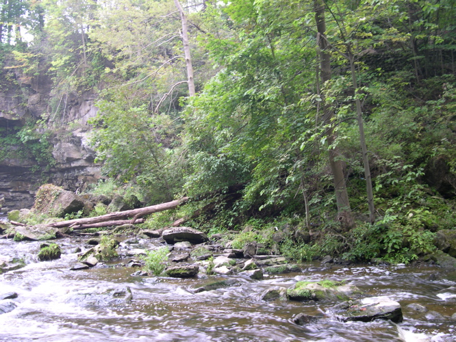 DSCN0100.JPG