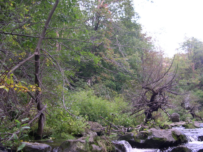 DSCN0105.JPG