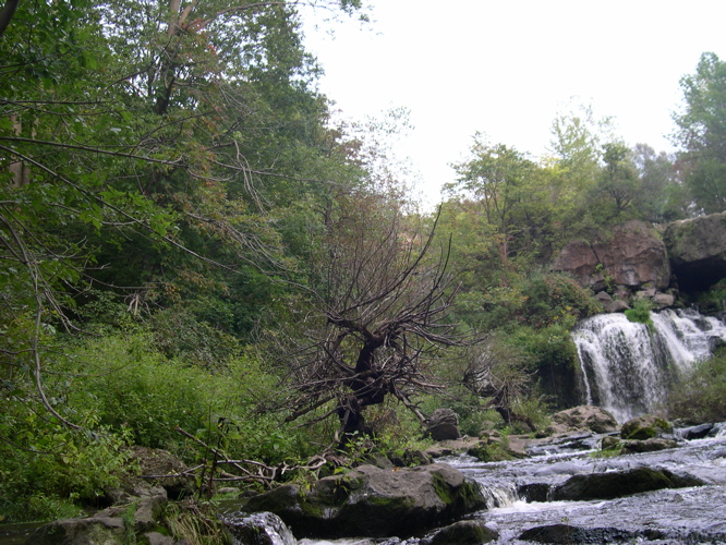 DSCN0106.JPG