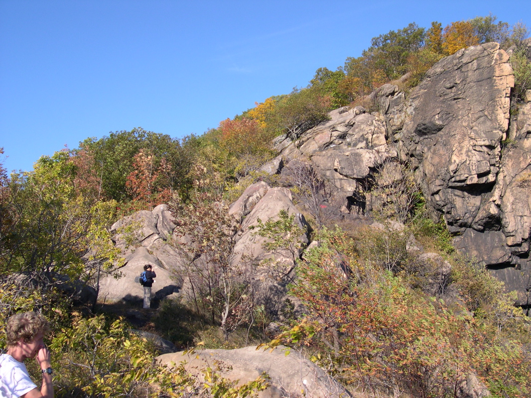 DSCN0065.JPG